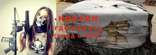 винт Алзамай